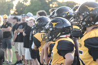 Mavericks vs Birmingham Patriots