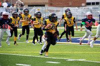 Mavericks vs Birmingham Patriots-photos