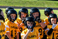 Mavericks vs. Royal Oak Titans