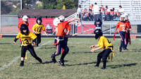 IMG_3117