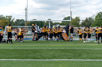 Mavericks vs. Shelby Lions