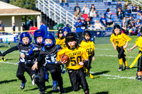 Mavericks Vs Shelby Lions