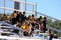Mavericks vs. Shelby Lions