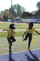 Mavericks vs Shelby Lions