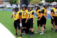 Mavericks vs Birmingham Patriots