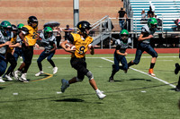 Mavericks vs Waterford