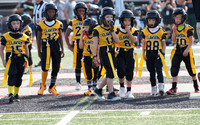 Mavericks vs. Troy Cowboys